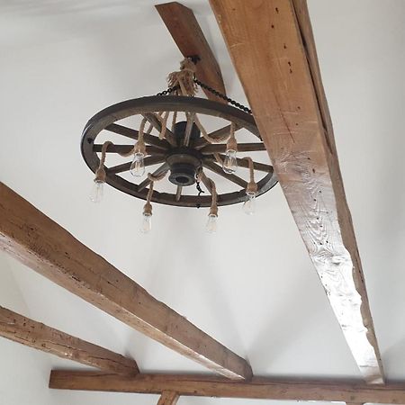Seensucht & Urlaubstraeume, Ferienwohnung "Seeadler" Grossraschen Εξωτερικό φωτογραφία